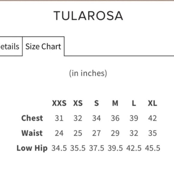 TULAROSA Mini Empire Waist Velvet Dress - Size S / NWT - Picture 11 of 11